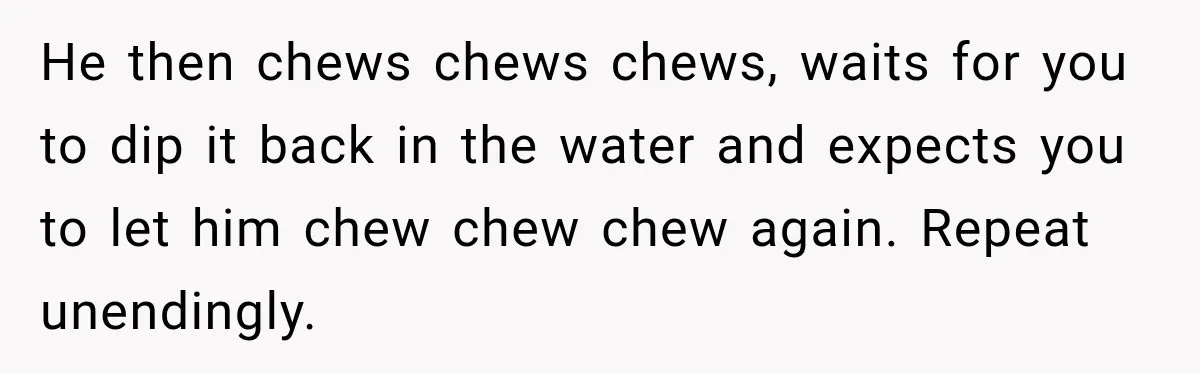 Tough Firefighter Has The Sweetest Conversation With A Cat During Bath Time He then chews chews chews, waits for you to dip it back in the water and expects you to let him chew chew chew again. Repeat unendingly.