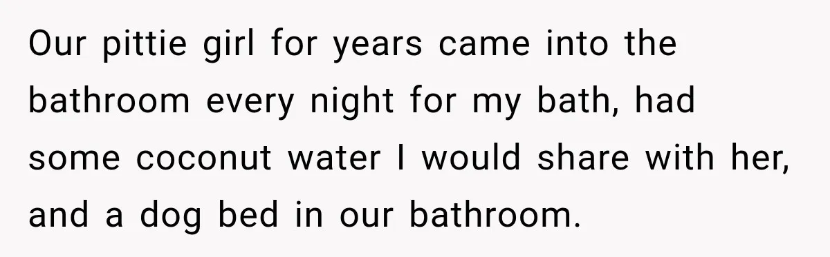 Tough Firefighter Has The Sweetest Conversation With A Cat During Bath Time Our pittie girl for years came into the bathroom every night for my bath, had some coconut water I would share with her, and a dog bed in our bathroom.