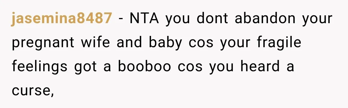 jasemina8487 − NTA you dont abandon your pregnant wife and baby cos your fragile feelings got a booboo cos you heard a curse,