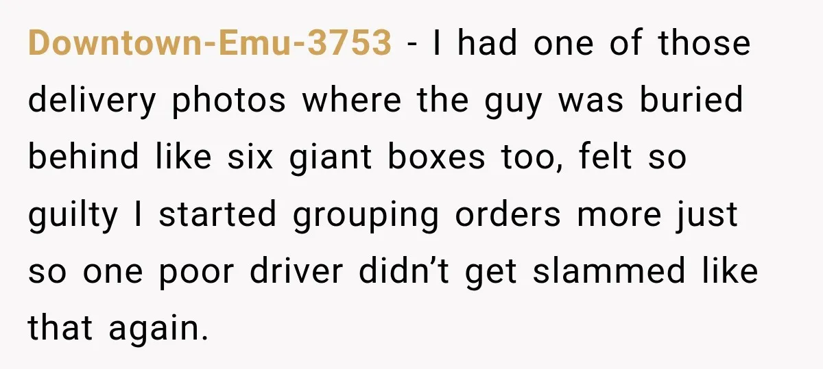 Downtown-Emu-3753 − I had one of those delivery photos where the guy was buried behind like six giant boxes too, felt so guilty I started grouping orders more just so...