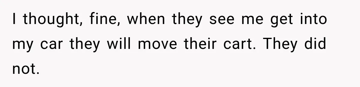 I thought, fine, when they see me get into my car they will move their cart. They did not.