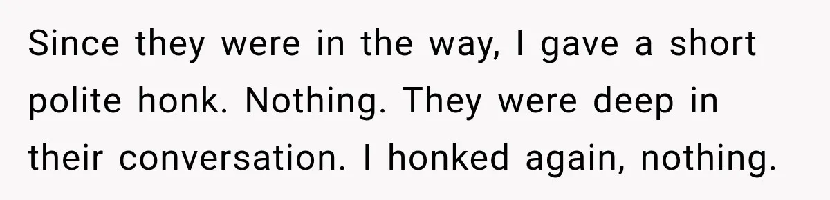 Since they were in the way, I gave a short polite honk. Nothing. They were deep in their conversation. I honked again, nothing.