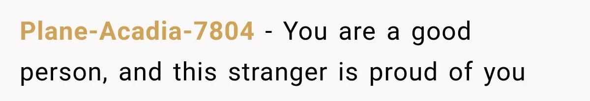 Plane-Acadia-7804 − You are a good person, and this stranger is proud of you