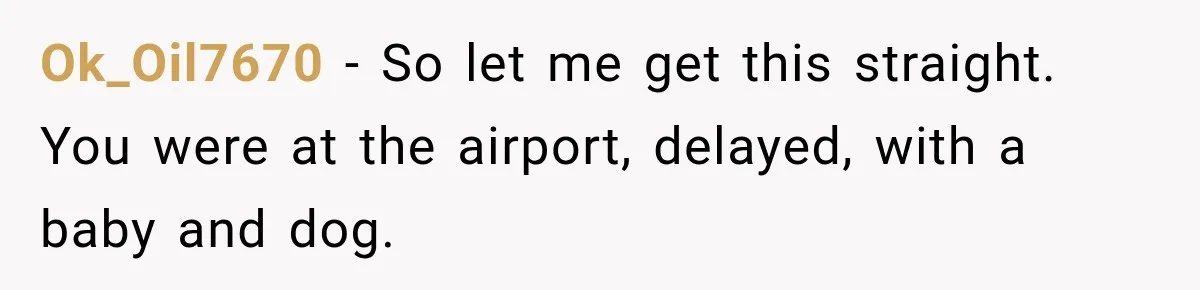 Ok_Oil7670 − So let me get this straight. You were at the airport, delayed, with a baby and dog.