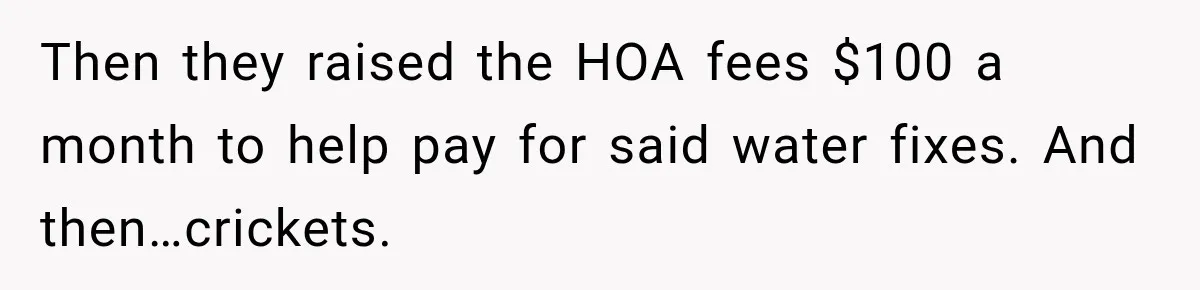 Then they raised the HOA fees $100 a month to help pay for said water fixes. And then…crickets.