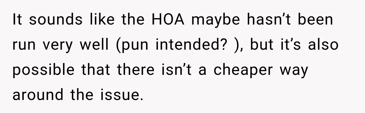 It sounds like the HOA maybe hasn’t been run very well (pun intended? ), but it’s also possible that there isn’t a cheaper way around the issue.