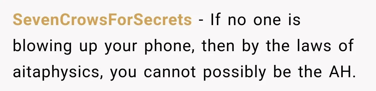 SevenCrowsForSecrets − If no one is blowing up your phone, then by the laws of aitaphysics, you cannot possibly be the AH.