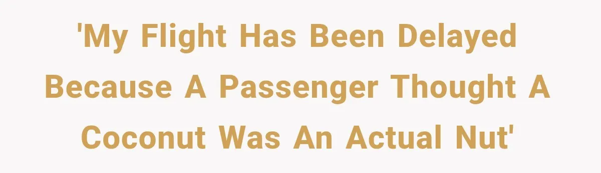 'My flight has been delayed because a passenger thought a Coconut was an actual nut'