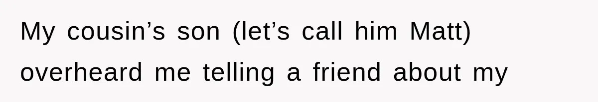 My cousin’s son (let’s call him Matt) overheard me telling a friend about my