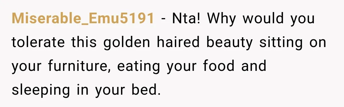Miserable_Emu5191 − Nta! Why would you tolerate this golden haired beauty sitting on your furniture, eating your food and sleeping in your bed.