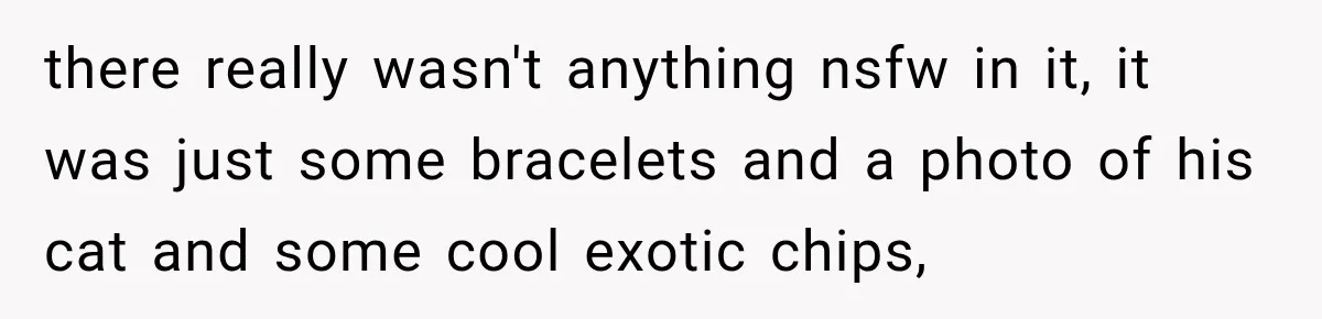 there really wasn't anything nsfw in it, it was just some bracelets and a photo of his cat and some cool exotic chips,