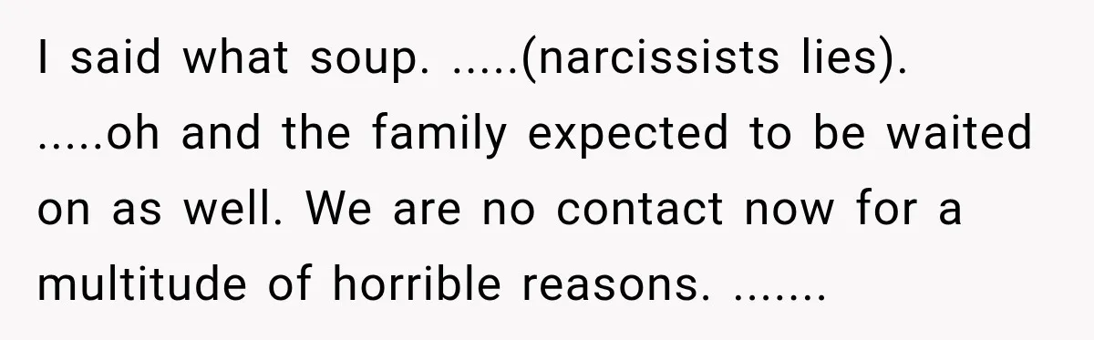 I said what soup. .....(narcissists lies). .....oh and the family expected to be waited on as well. We are no contact now for a multitude of horrible reasons. .......