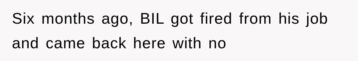 Six months ago, BIL got fired from his job and came back here with no
