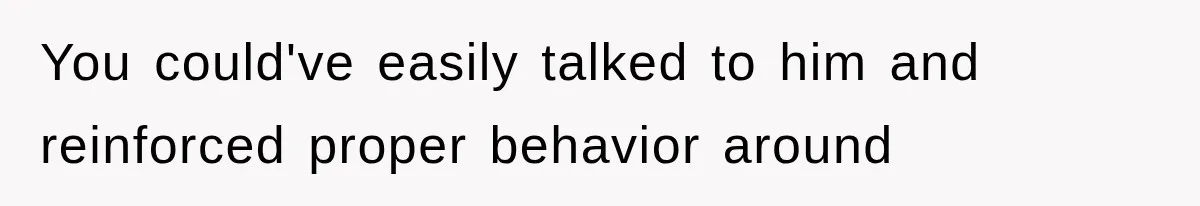 You could've easily talked to him and reinforced proper behavior around