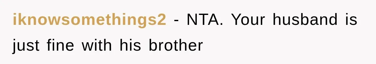 iknowsomethings2 − NTA. Your husband is just fine with his brother
