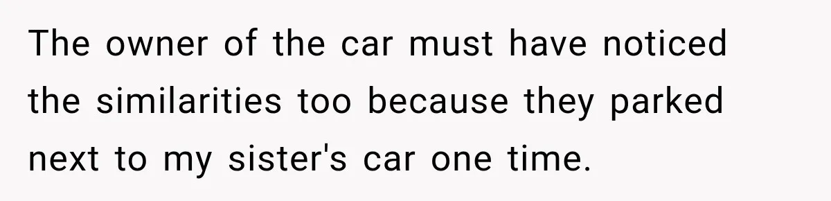 The owner of the car must have noticed the similarities too because they parked next to my sister's car one time.
