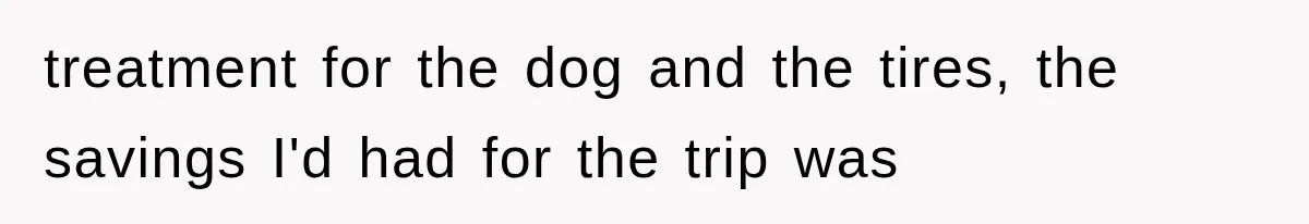 treatment for the dog and the tires, the savings I'd had for the trip was