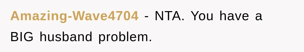 Amazing-Wave4704 − NTA. You have a BIG husband problem.