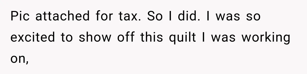 Pic attached for tax. So I did. I was so excited to show off this quilt I was working on,