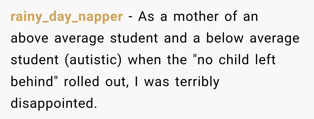 rainy_day_napper − As a mother of an above average student and a below average student (autistic) when the "no child left behind" rolled out, I was terribly disappointed.