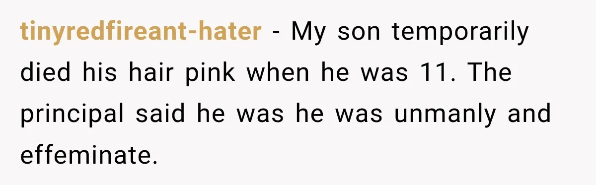 tinyredfireant-hater − My son temporarily died his hair pink when he was 11. The principal said he was he was unmanly and effeminate.