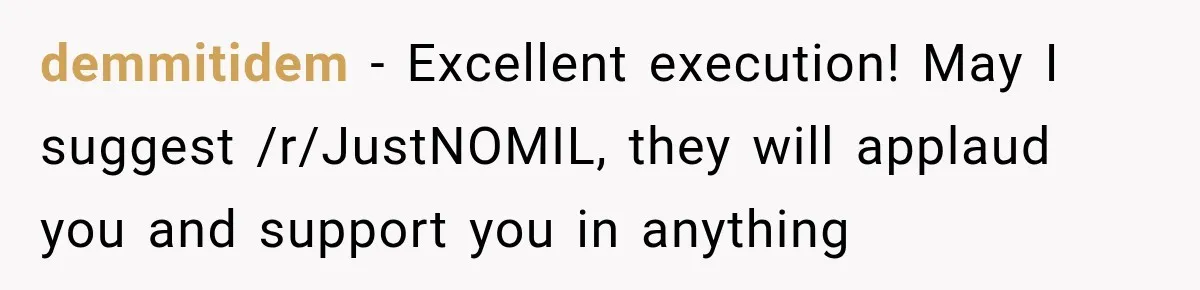 demmitidem − Excellent execution! May I suggest /r/JustNOMIL, they will applaud you and support you in anything