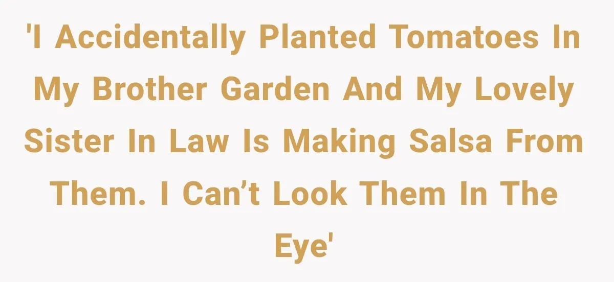 'I accidentally planted tomatoes in my brother garden and my lovely sister in law is making salsa from them. I can’t look them in the eye'
