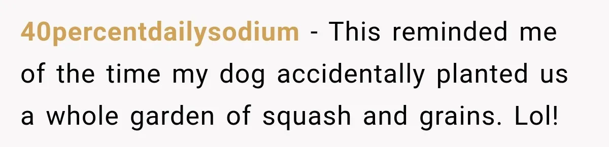40percentdailysodium − This reminded me of the time my dog accidentally planted us a whole garden of squash and grains. Lol!