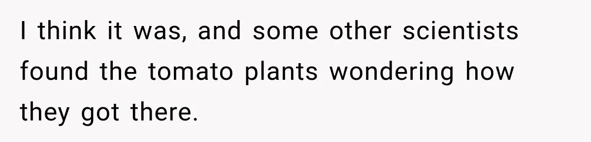 I think it was, and some other scientists found the tomato plants wondering how they got there.