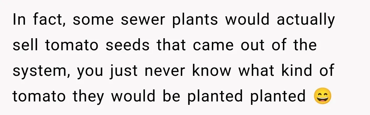 In fact, some sewer plants would actually sell tomato seeds that came out of the system, you just never know what kind of tomato they would be planted planted 😄