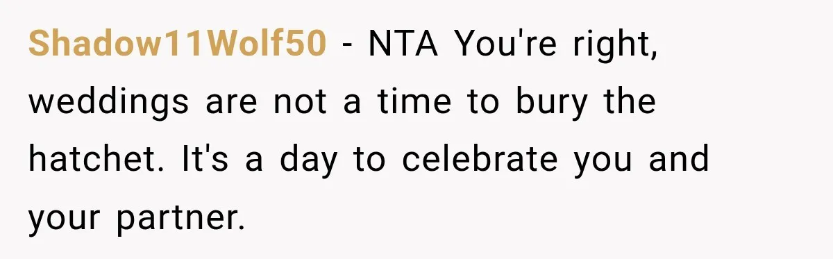 Shadow11Wolf50 − NTA You're right, weddings are not a time to bury the hatchet. It's a day to celebrate you and your partner.