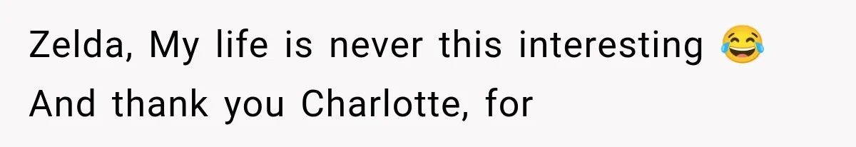 Woman Finds Cousin Selling Her Childhood Toys Online After Pretending to Reconnect With Her Daughter Zelda, My life is never this interesting 😂 And thank you Charlotte, for