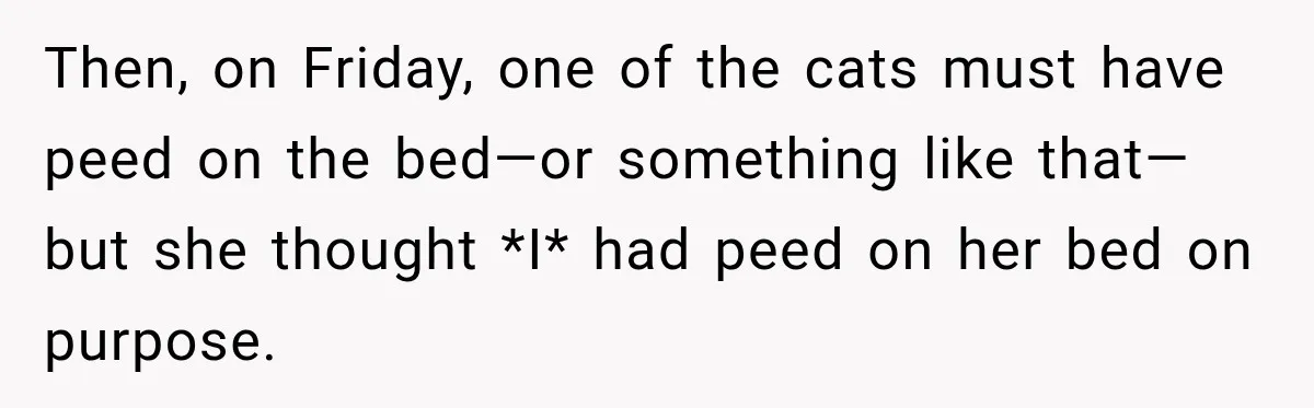 Then, on Friday, one of the cats must have peed on the bed—or something like that—but she thought *I* had peed on her bed on purpose.