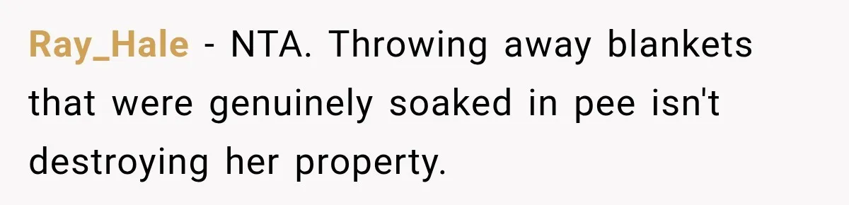 Ray_Hale − NTA. Throwing away blankets that were genuinely soaked in pee isn't destroying her property.