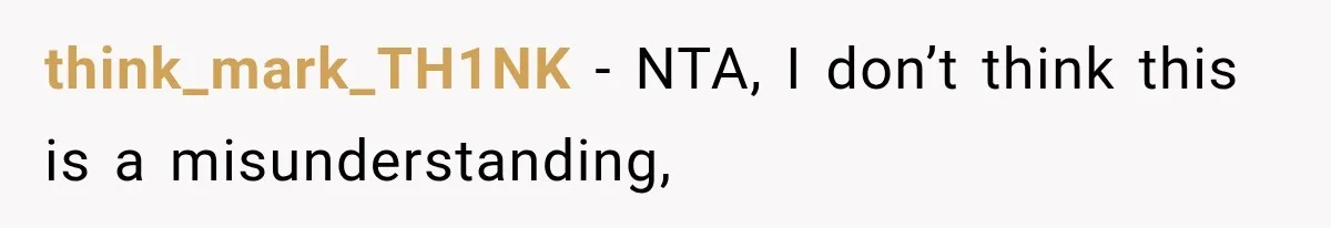 think_mark_TH1NK − NTA, I don’t think this is a misunderstanding,