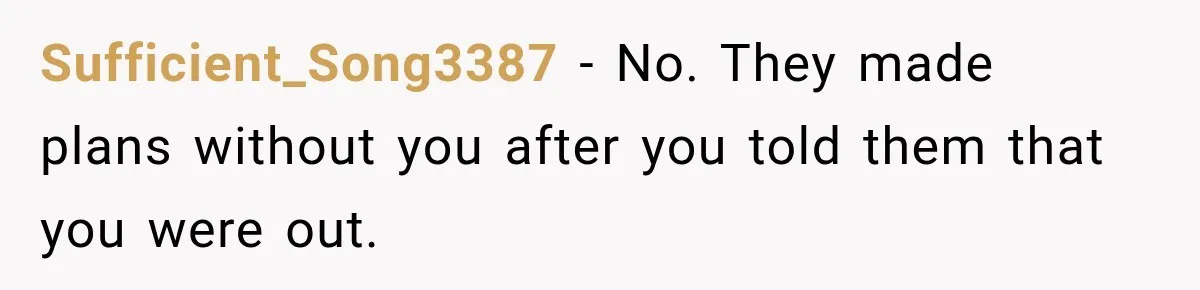Sufficient_Song3387 − No. They made plans without you after you told them that you were out.