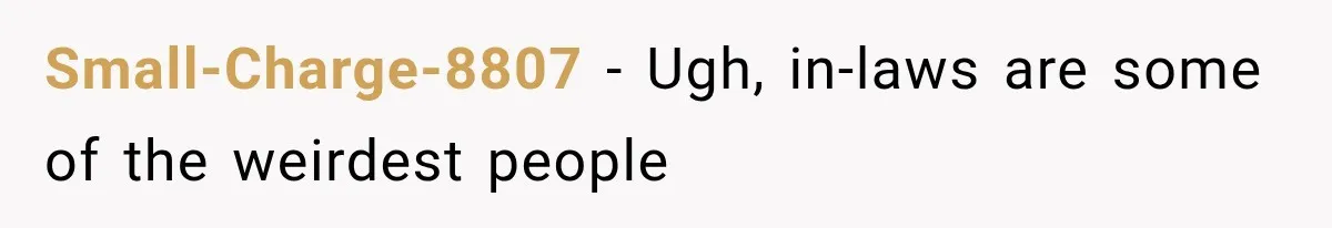 Small-Charge-8807 − Ugh, in-laws are some of the weirdest people
