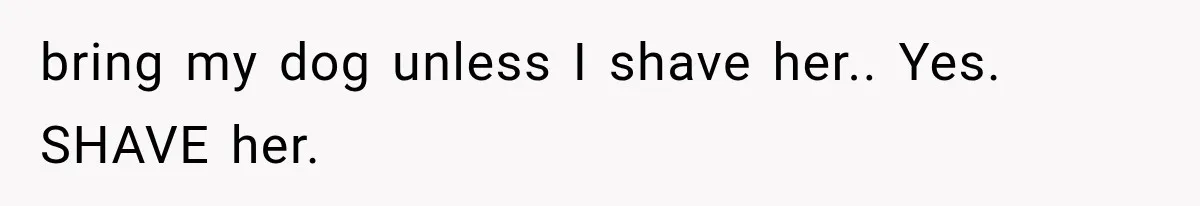 bring my dog unless I shave her.. Yes. SHAVE her.