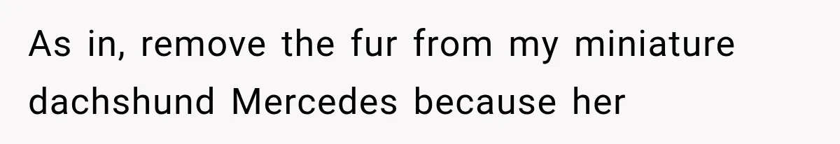 As in, remove the fur from my miniature dachshund Mercedes because her