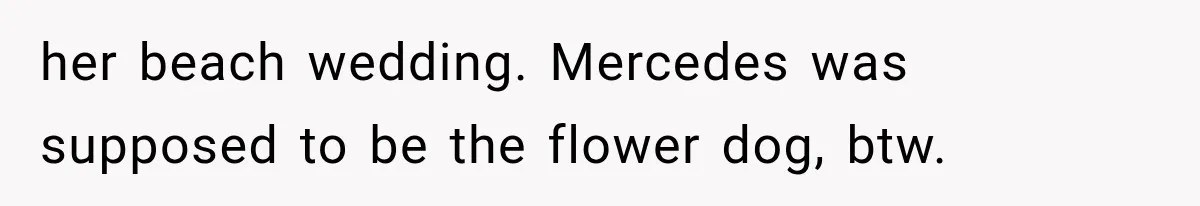her beach wedding. Mercedes was supposed to be the flower dog, btw.