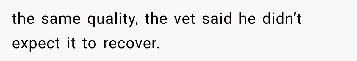 the same quality, the vet said he didn’t expect it to recover.