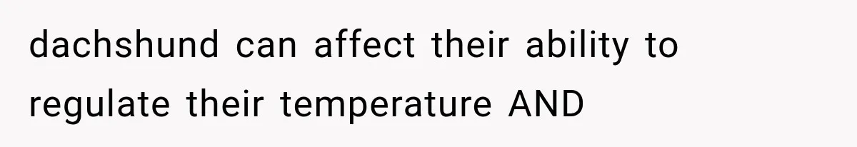 dachshund can affect their ability to regulate their temperature AND