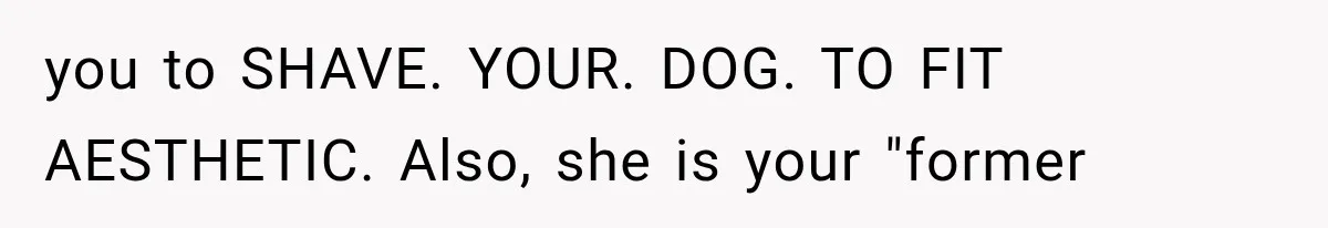 you to SHAVE. YOUR. DOG. TO FIT AESTHETIC. Also, she is your "former