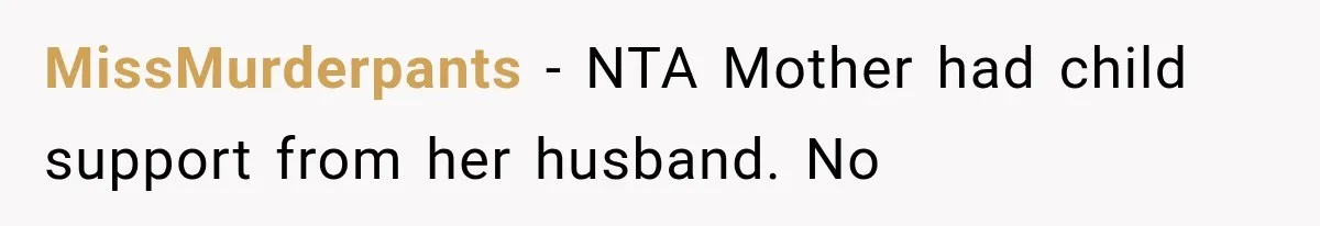 MissMurderpants − NTA Mother had child support from her husband. No