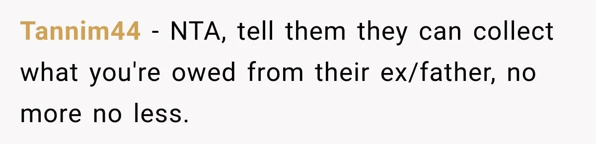 Tannim44 − NTA, tell them they can collect what you're owed from their ex/father, no more no less.