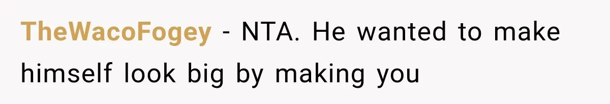 TheWacoFogey − NTA. He wanted to make himself look big by making you