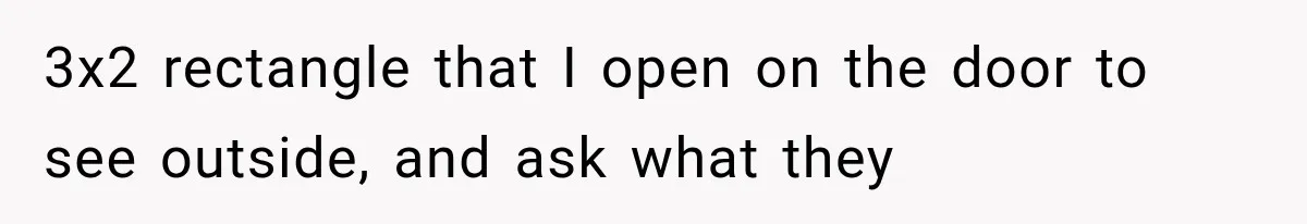 3x2 rectangle that I open on the door to see outside, and ask what they