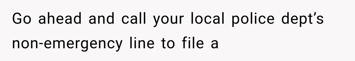 Go ahead and call your local police dept’s non-emergency line to file a