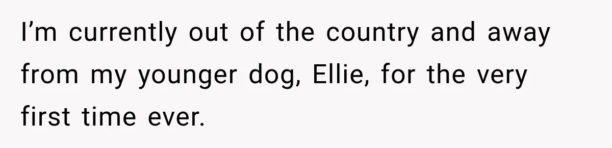 I’m currently out of the country and away from my younger dog, Ellie, for the very first time ever.