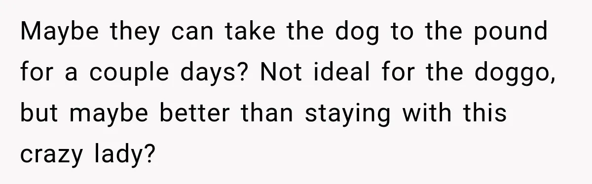 Maybe they can take the dog to the pound for a couple days? Not ideal for the doggo, but maybe better than staying with this crazy lady?